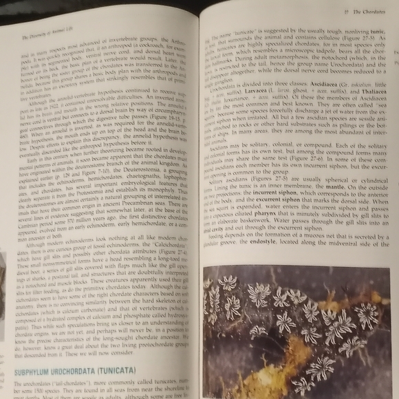 😼Integrated principles of Zoology | ninth edition | hardcover | updated version - Picture 1 of 2